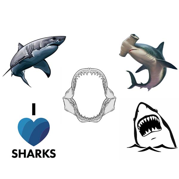Temporary shark tattoo design for sale