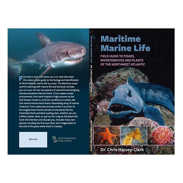 Maritime Marine Life book for sale