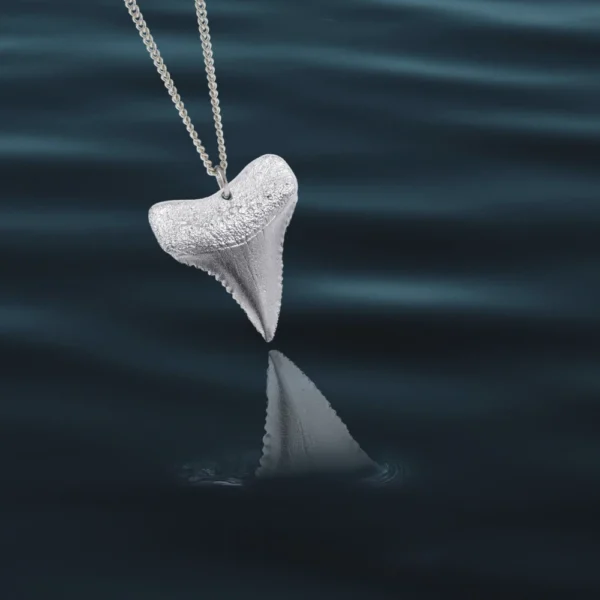 Shark Tooth Necklace - Image 3