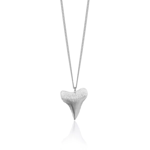 Shark Tooth Necklace