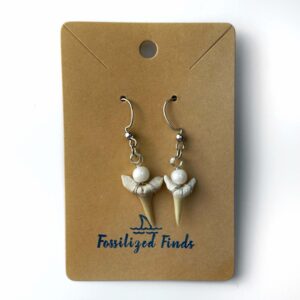 Fossilized Finds Shark Tooth Earrings