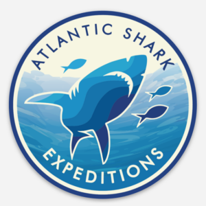 Vintage Logo Sticker