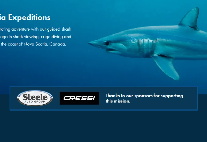 Sponsor logo featured on the ASE website