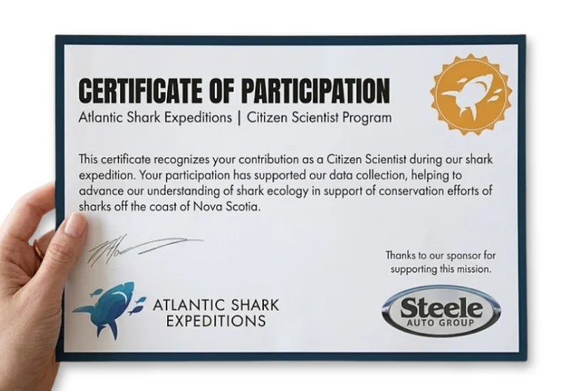 ASE Certificate of Participation showing sponsor placement