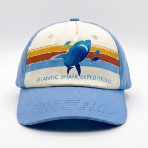 ASE Retro Stripe Cap - Light Blue